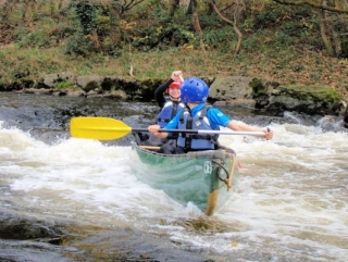  ¡Prepárale para un paseo salvaje!